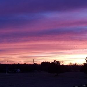 Meet your Posher, Shelly